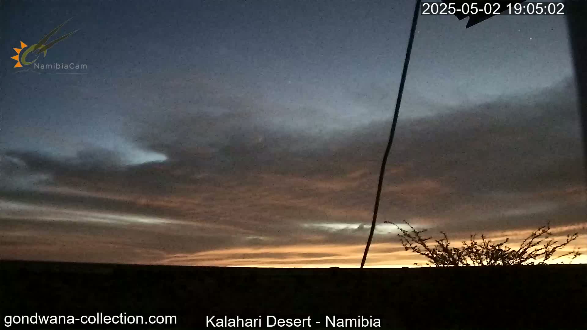 A sunset with thin, layered clouds displays orange and purple hues over a dark desert landscape with a silhouetted bush in the foreground.