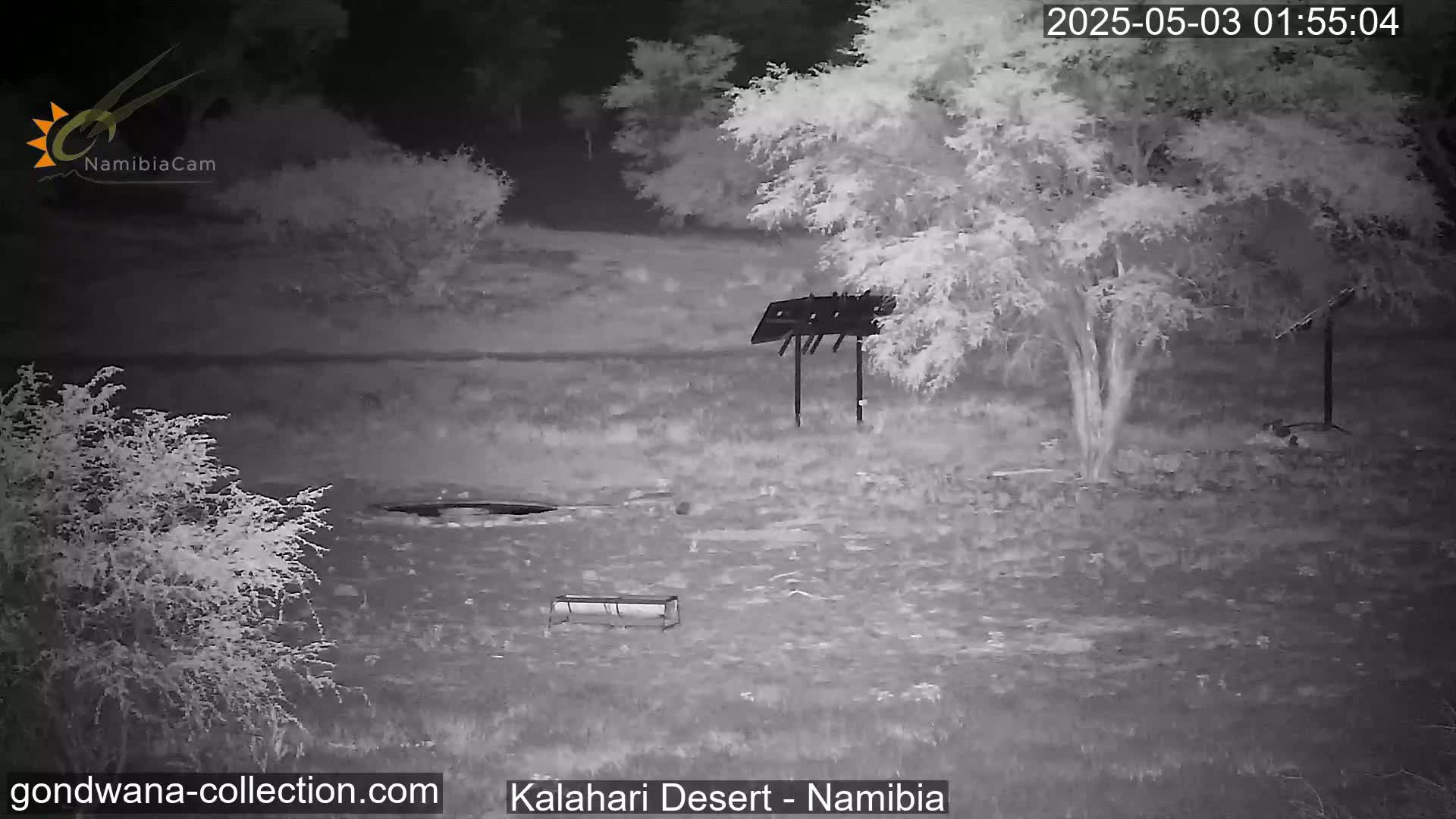 A nighttime, infrared view shows a sparsely vegetated landscape with a few small trees, a bird feeder, and a trough-like structure.