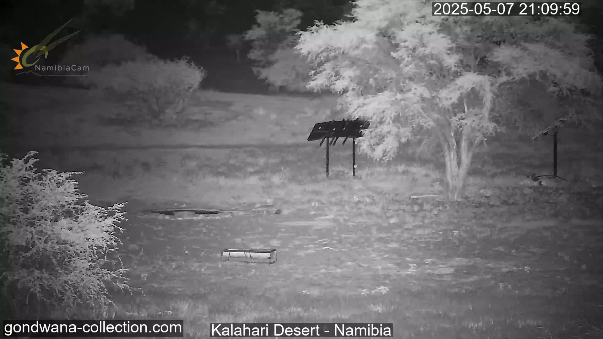 A nighttime infrared image shows a mostly barren landscape with sparse vegetation, a small structure, and a trough-like object under a mostly clear night sky.