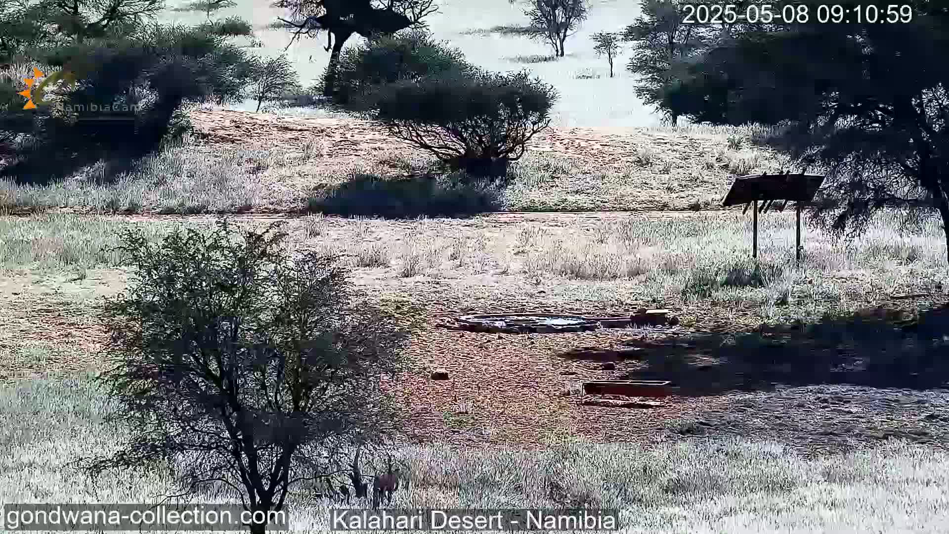 A mostly sunny, possibly frosty, arid landscape features sparse, low-lying vegetation, a small water source, and a simple wooden structure.