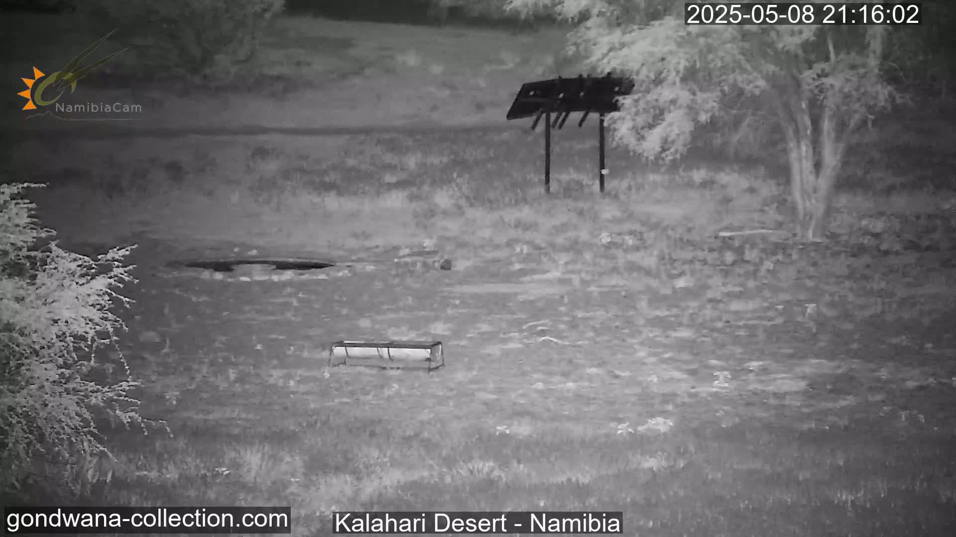 A nighttime, thermal image shows a sparsely vegetated area with a bird feeder and a trough, under a dark sky.