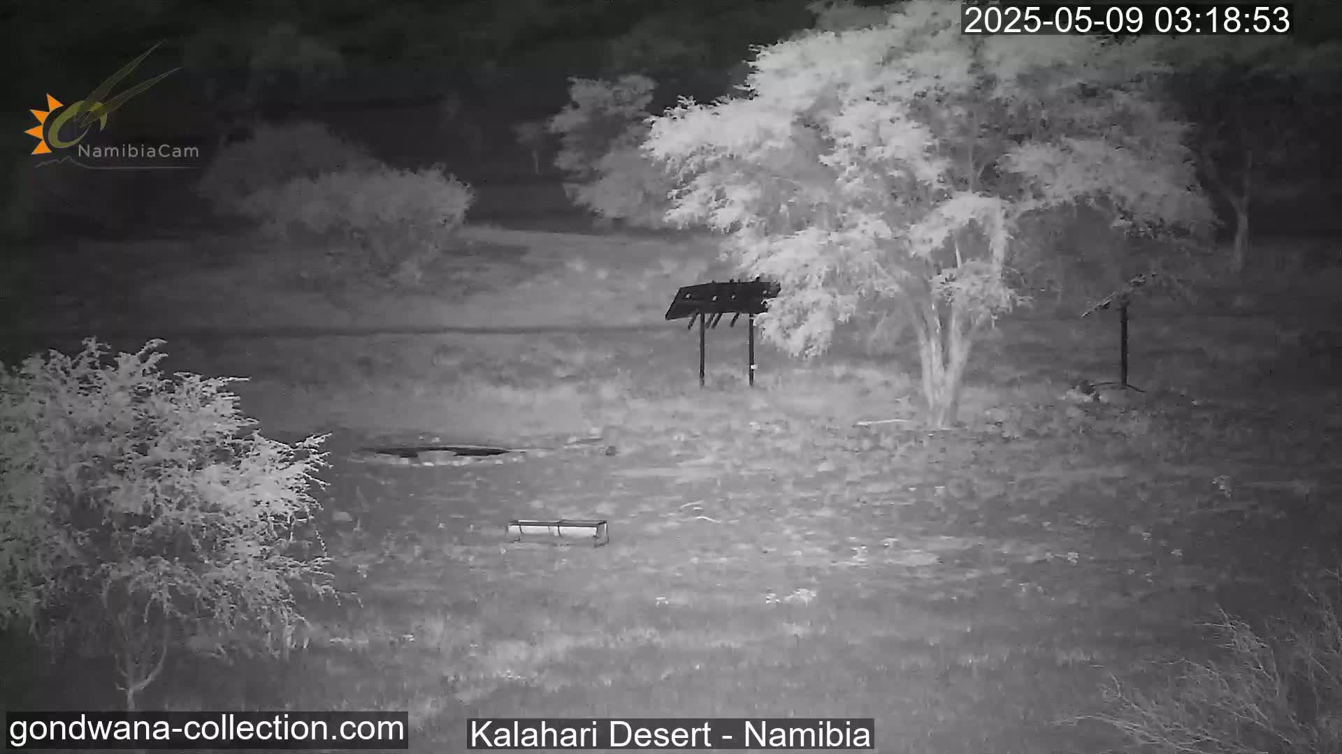 A nighttime infrared image shows a sparsely vegetated area with a few trees and two structures resembling feeding stations.