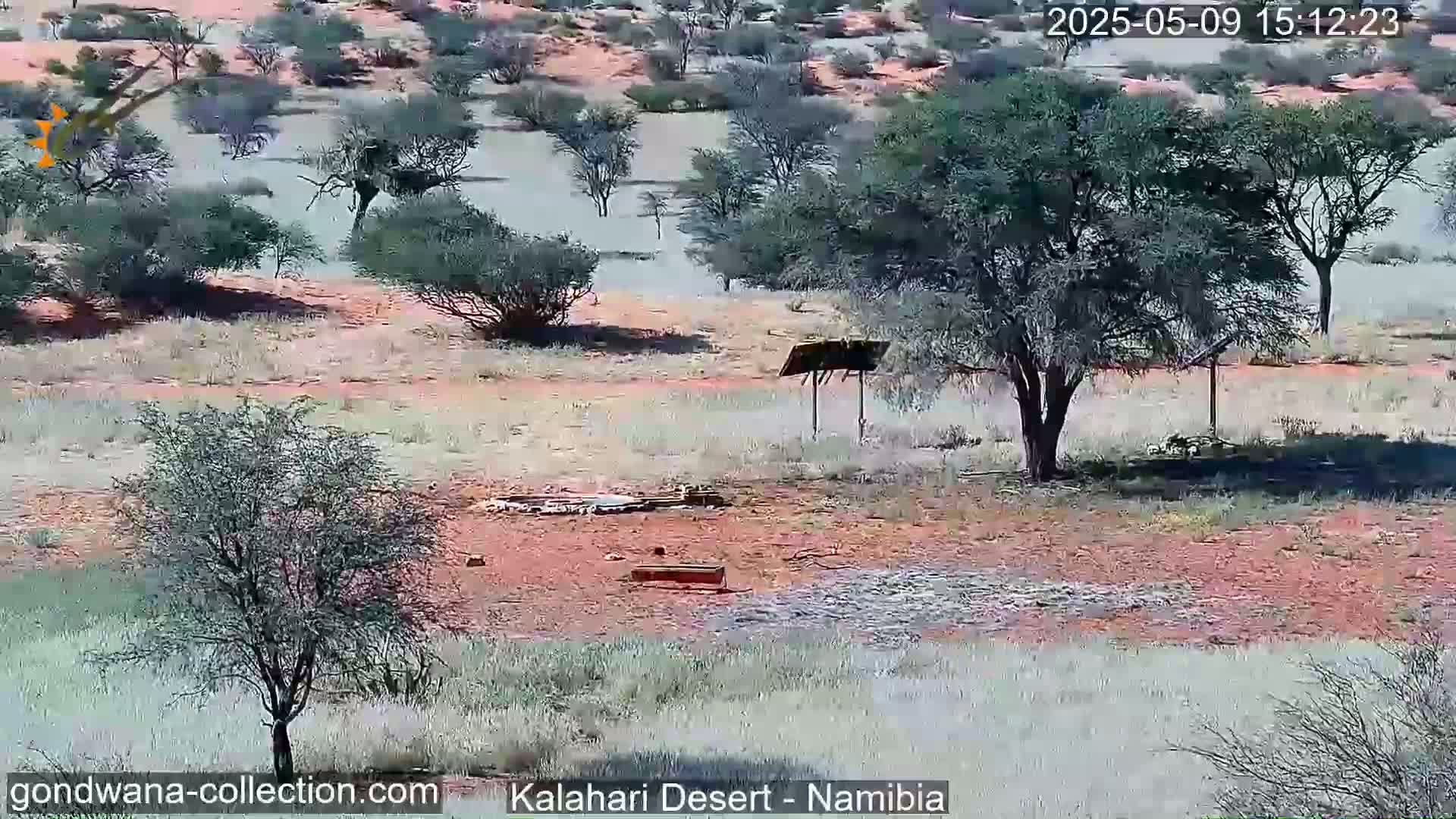 A mostly sunny, arid landscape of sparse, low-lying vegetation and scattered trees, with a small structure and a solar panel visible in the mid-ground.