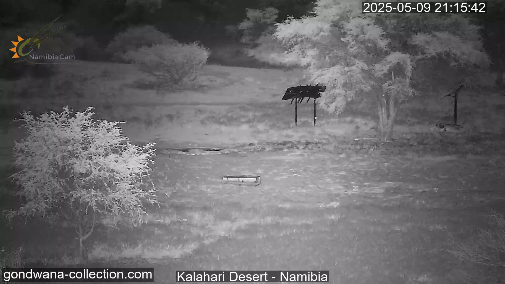 A nighttime infrared image shows a sparsely vegetated area with some small trees and shrubs, a metal structure, and a long, rectangular object on the ground.