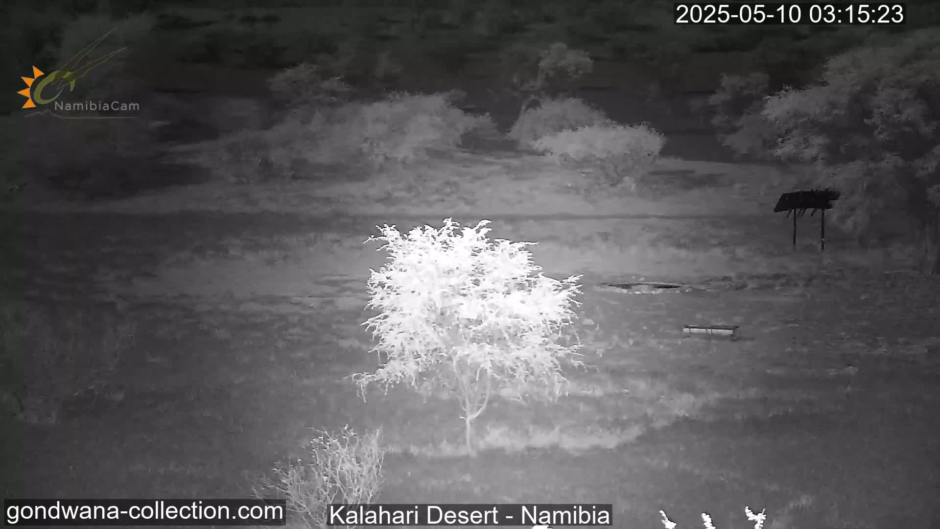 A nighttime infrared view shows a sparsely vegetated, flat landscape with a small tree in the center, a bird feeder, and a bench.