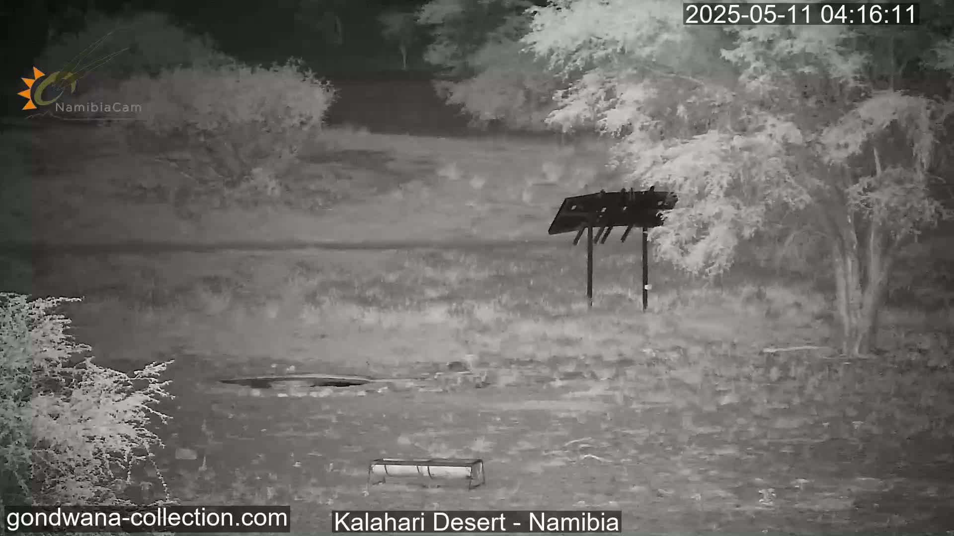 A nighttime, infrared view shows a barren, sparsely vegetated landscape with a bird feeder and a covered structure.