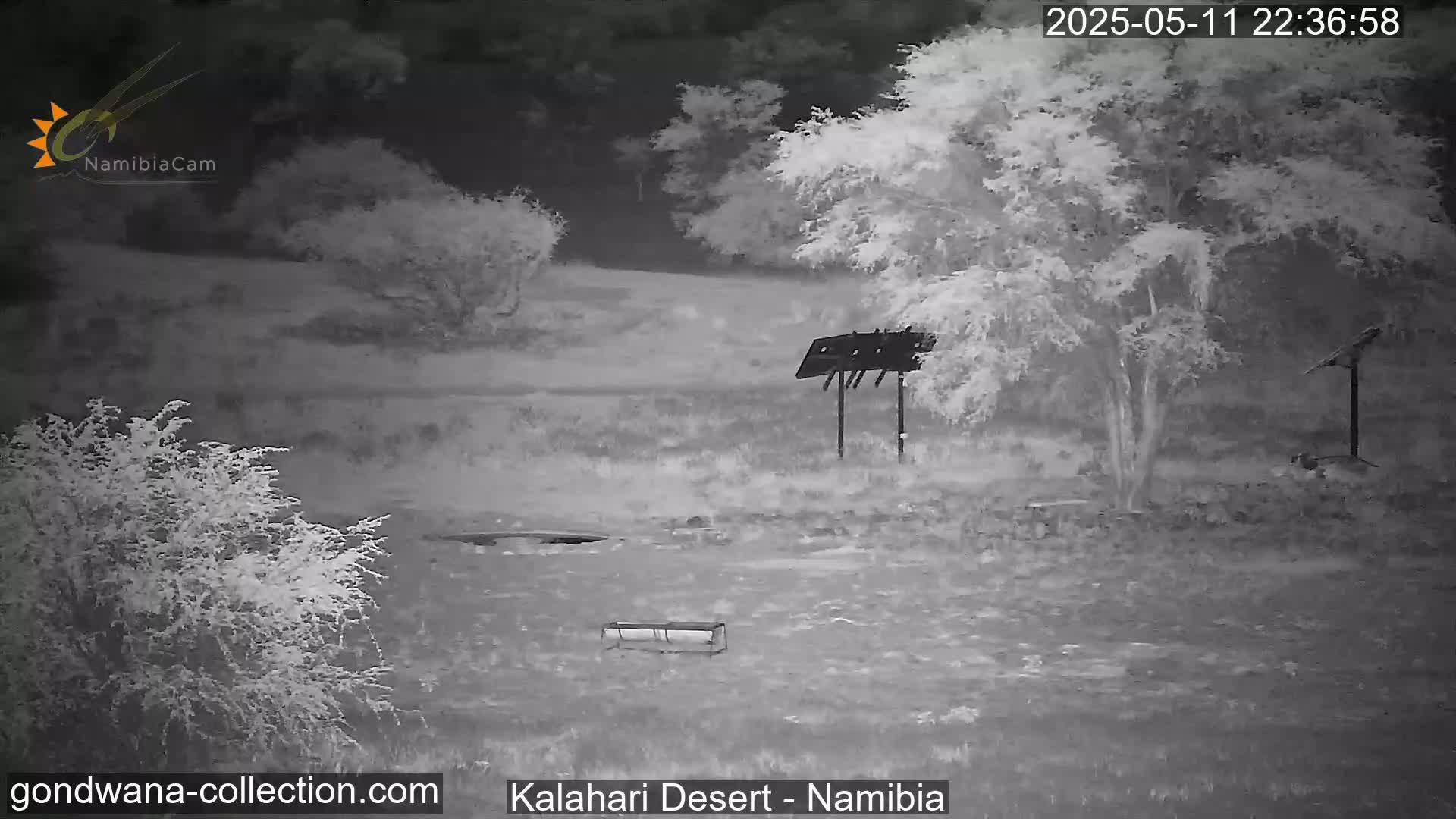 A nighttime infrared view shows sparse desert vegetation, two structures resembling bird feeders, and a small rectangular object on the ground.