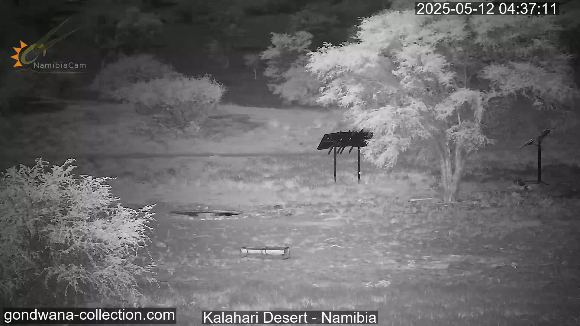 A nighttime, grayscale image shows a sparsely vegetated landscape with a few trees and a small structure resembling a bird feeder or animal feeding station.