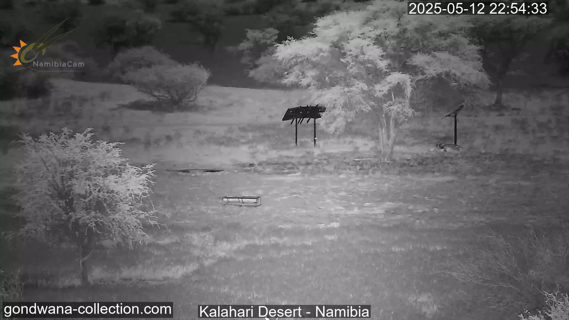 A nighttime, infrared view shows a sparsely vegetated landscape with a few shrubs and trees, a bench, and a bird feeder.
