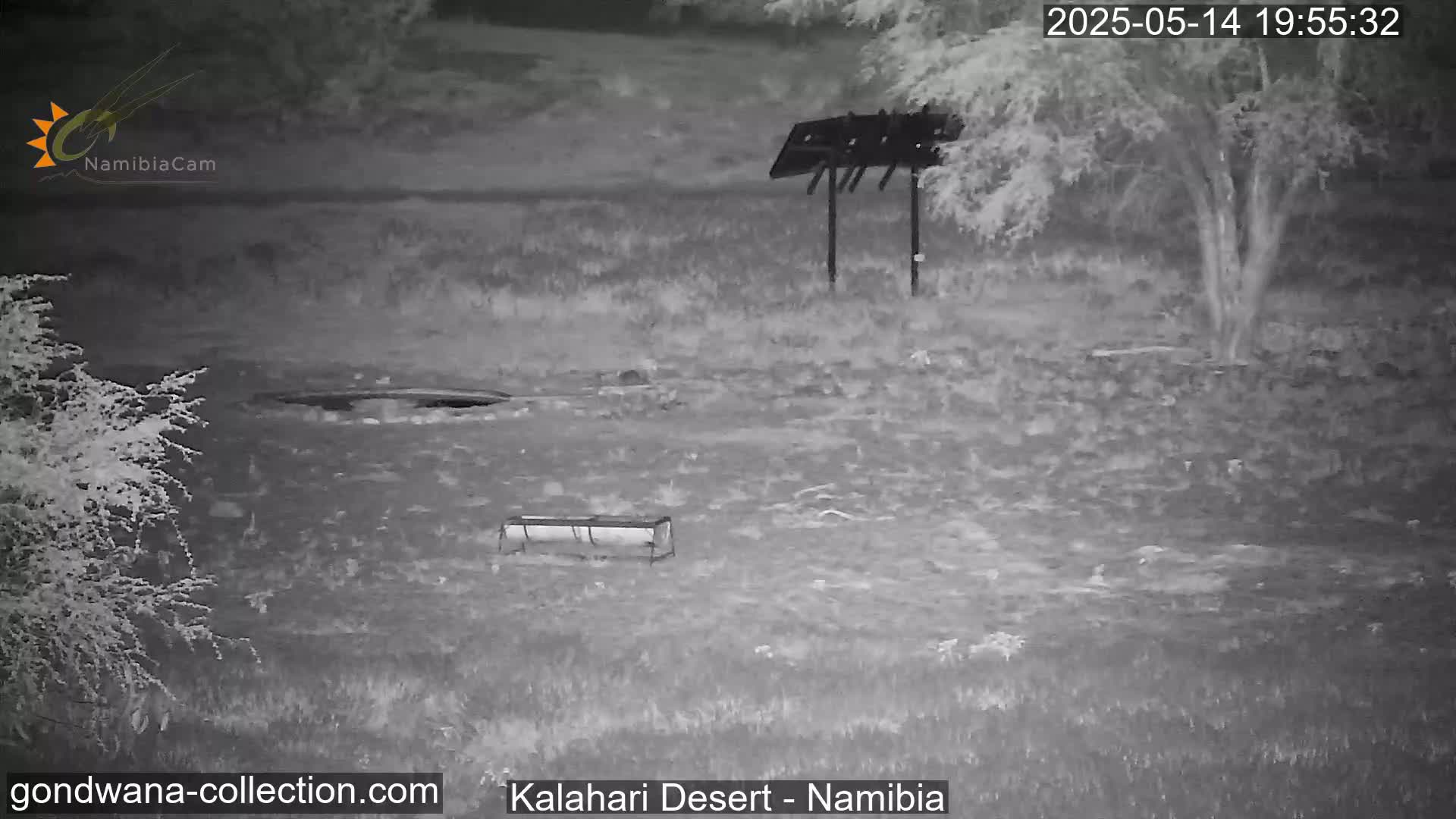 A nighttime infrared image shows a desolate, grassy area with a bird feeder, a metal structure, and sparse vegetation under a dark sky.