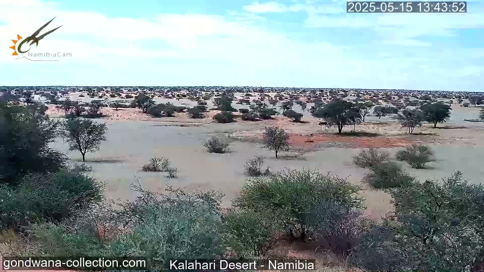 Under a mostly clear sky, a vast, flat desert landscape dotted with sparse, low-lying vegetation and a few scattered trees is shown.