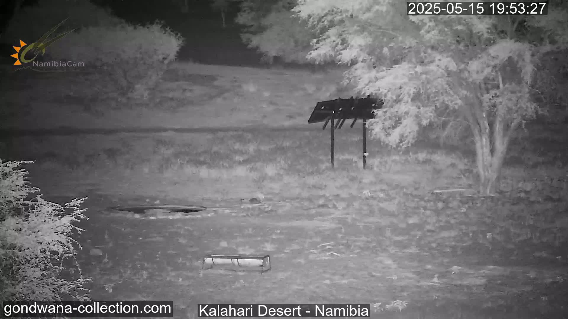 A nighttime, grayscale image shows a sparsely vegetated area with a metal structure, a small trough, and a dark circular depression in the ground.