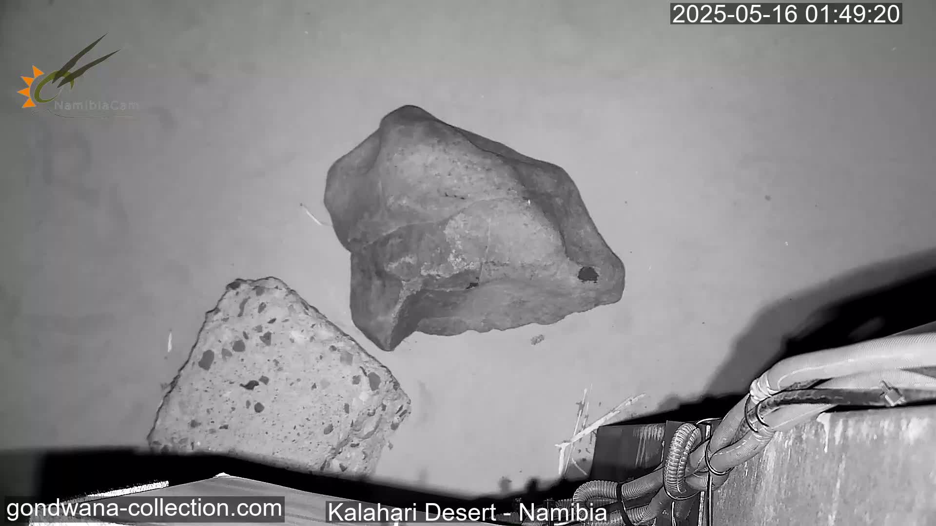 Natural Life in the Kalahari Desert (Gondwana Kalahari Park)  Live Cam - Mariental, Hardap, Namibia