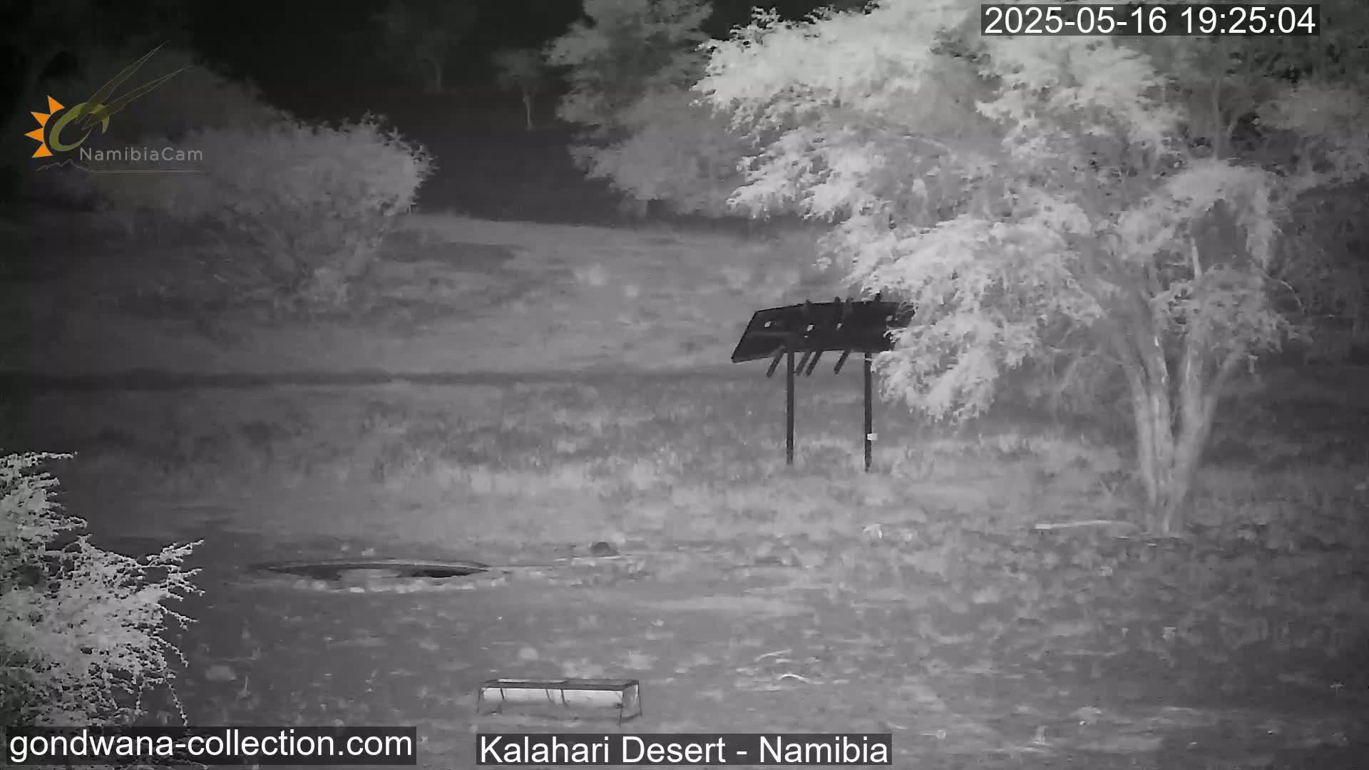 A nighttime, infrared image shows a desolate, sparsely vegetated landscape with a metal structure and a small trough-like object in the foreground.