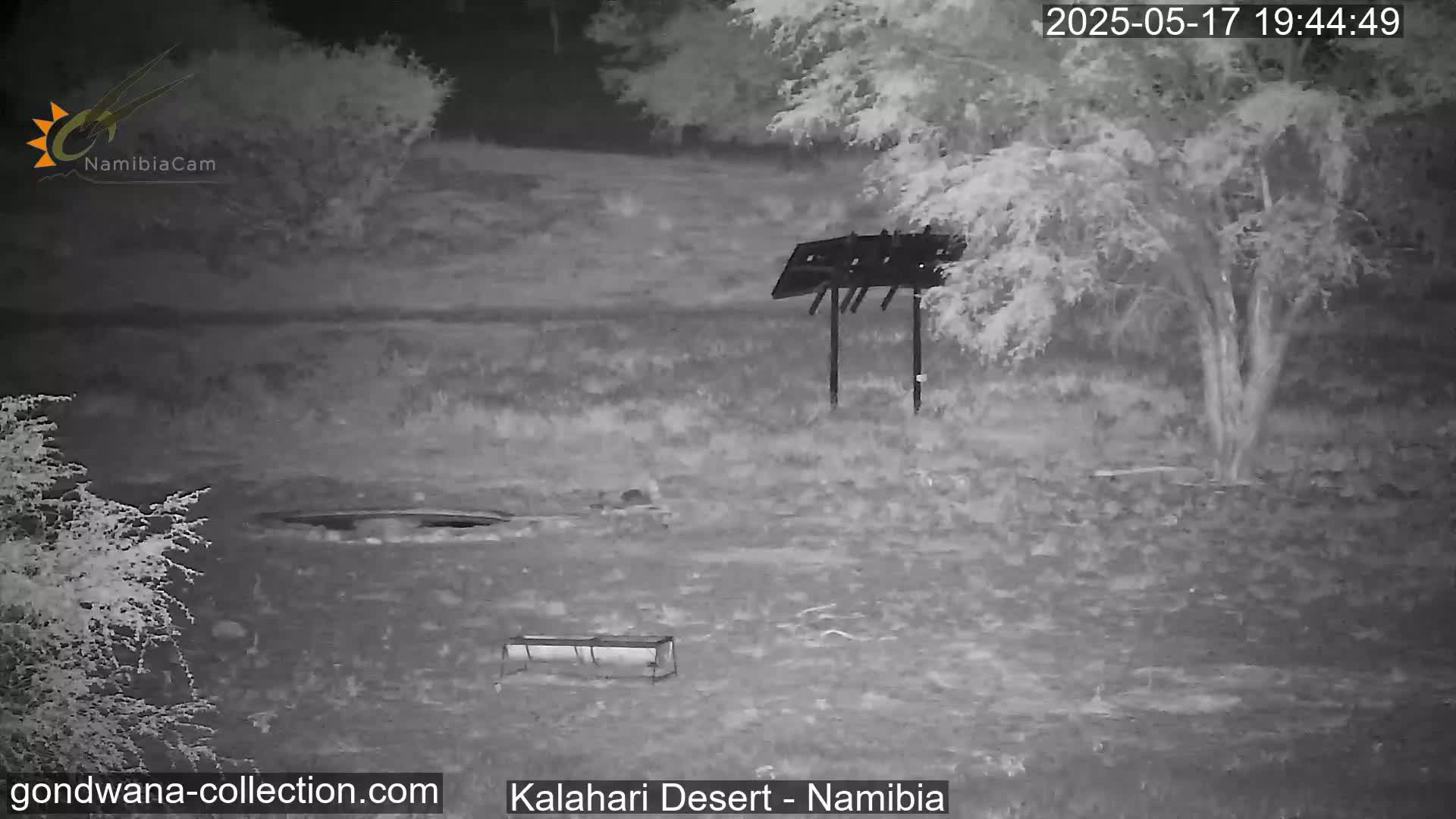 A nighttime, infrared image shows a barren, flat landscape with sparse vegetation, two metal feeders, and a small, dark area that may be a water source.