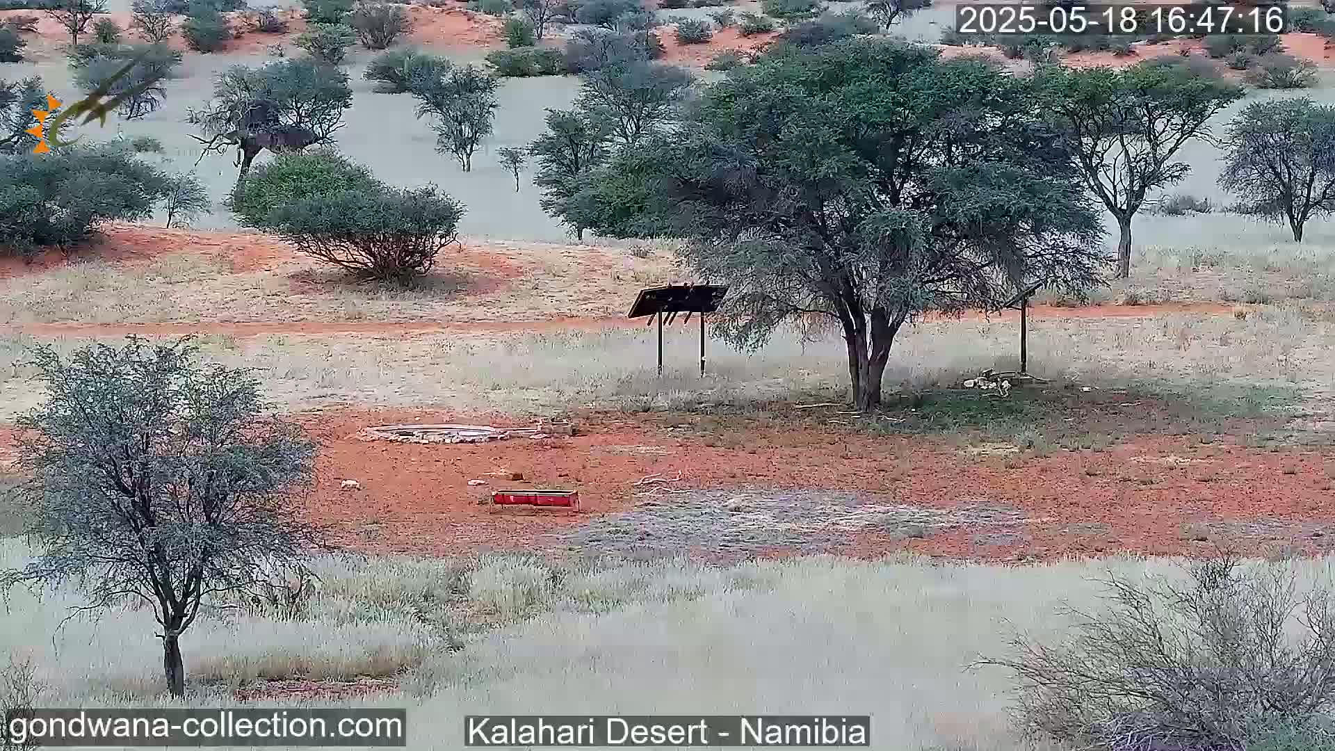 A dry, reddish-brown landscape with sparse, low-lying vegetation, a few trees, and a small, open area with a simple structure and a trough, under a hazy sky.