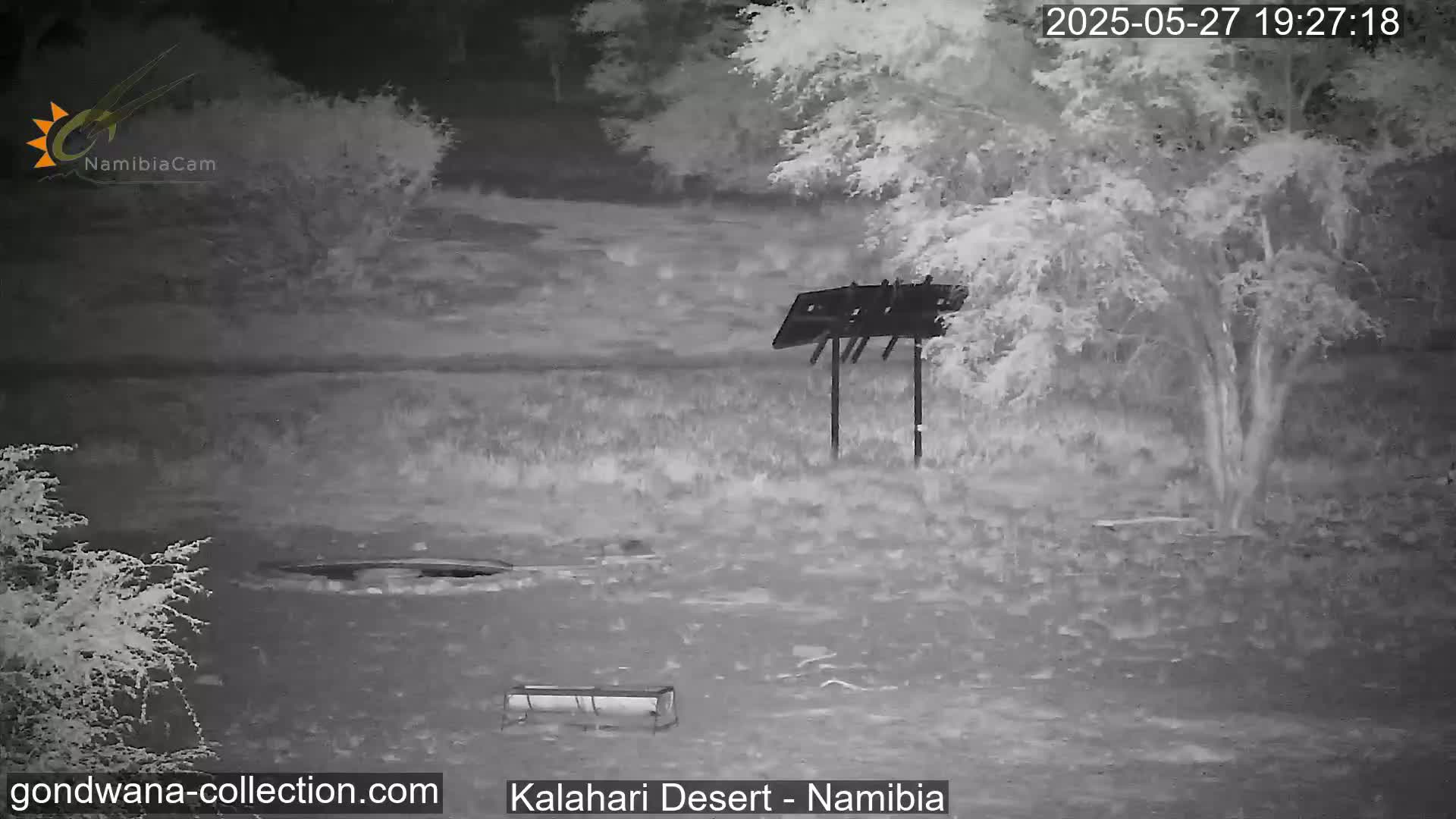 A nighttime infrared image shows a sparsely vegetated area with a bird feeder, a small structure resembling a picnic table, and a dark body of water under a mostly clear sky.
