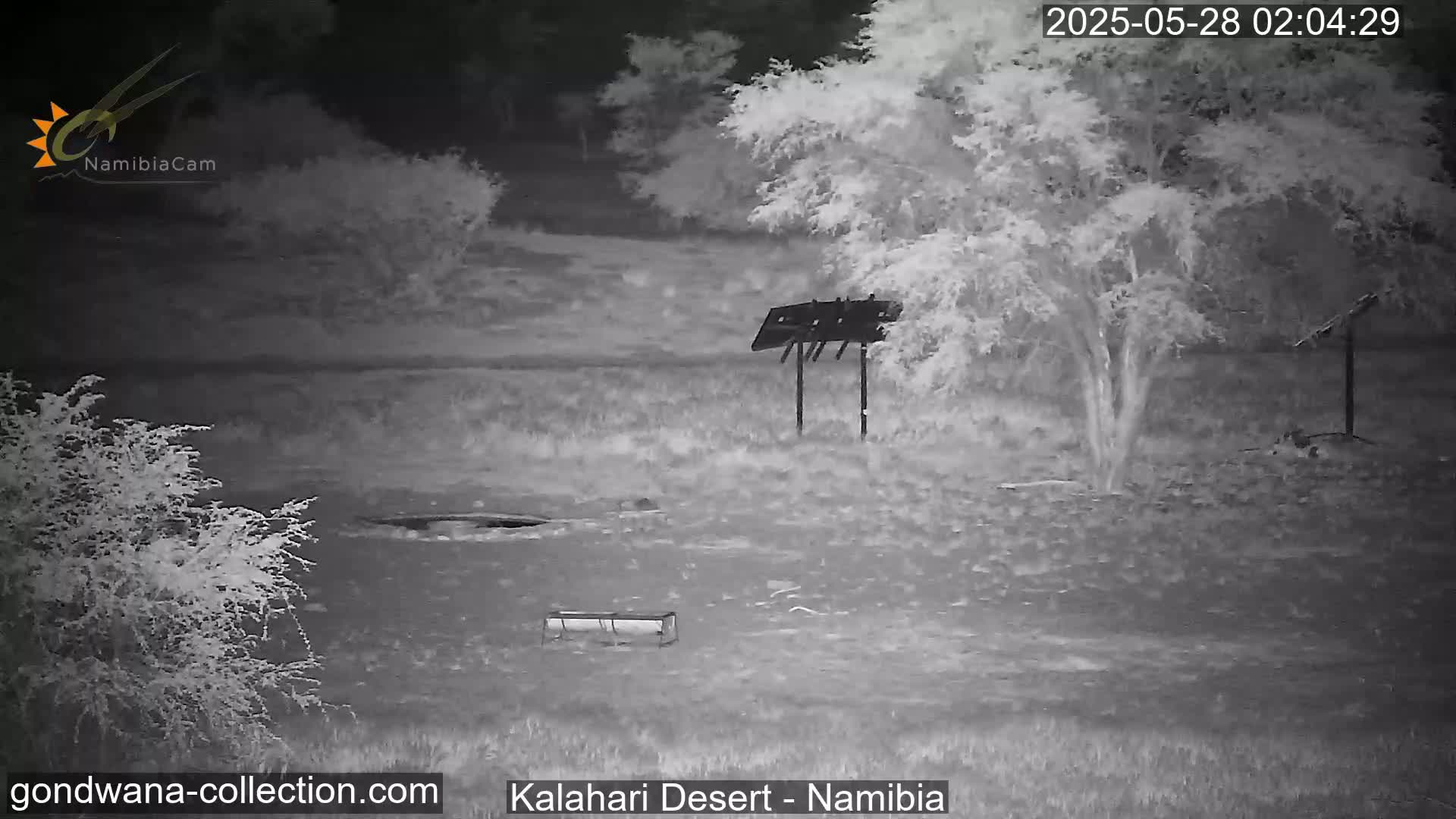 A nighttime infrared image shows a barren landscape with sparse vegetation, a small bench, and two tall structures, possibly solar panels or bird feeders.
