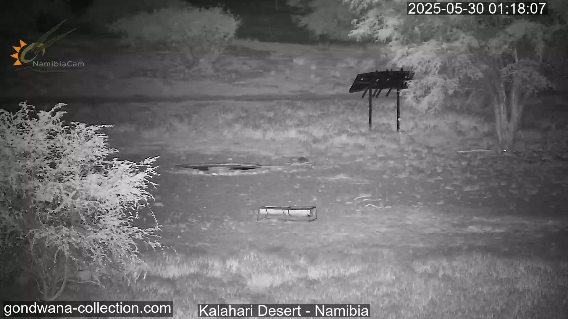 A nighttime, infrared image shows a sparsely vegetated landscape with a metal trough and a simple structure, possibly a bird feeder.