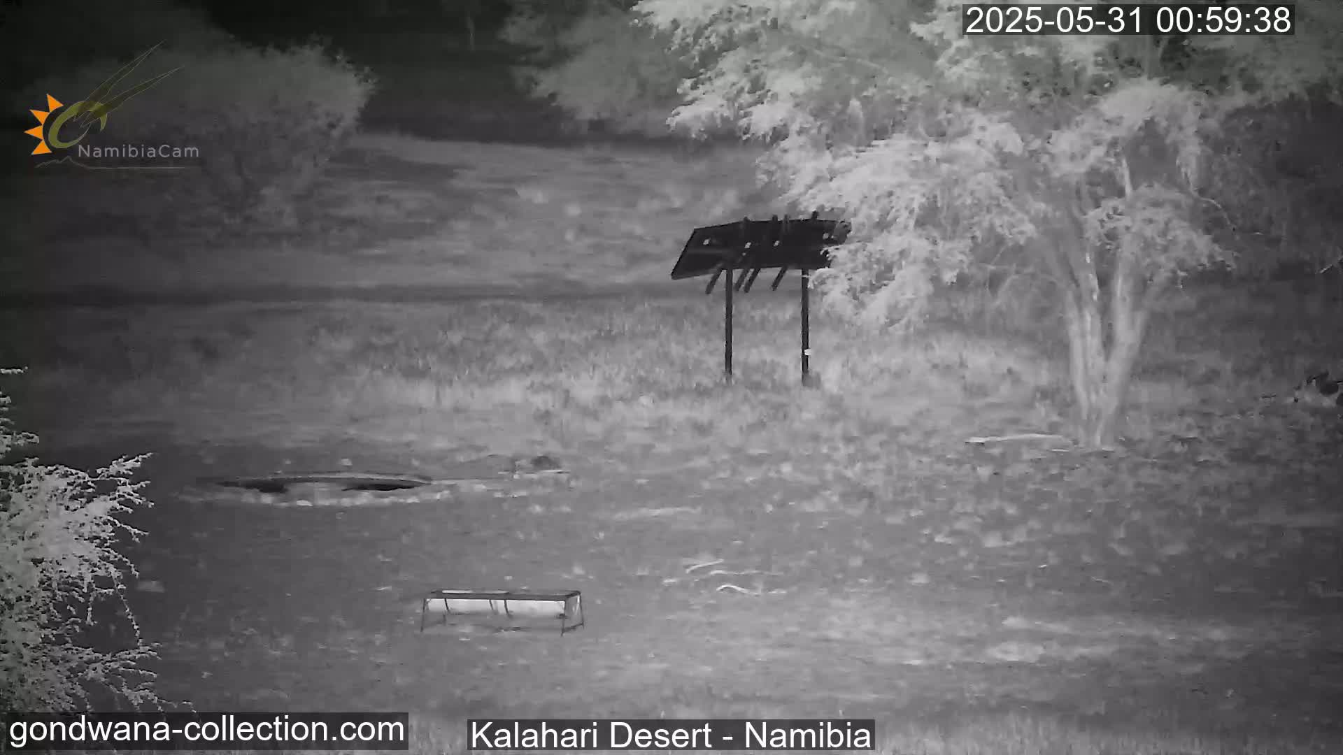 A nighttime infrared image shows a sparsely vegetated area with a metal structure and a trough-like object, under clear skies.