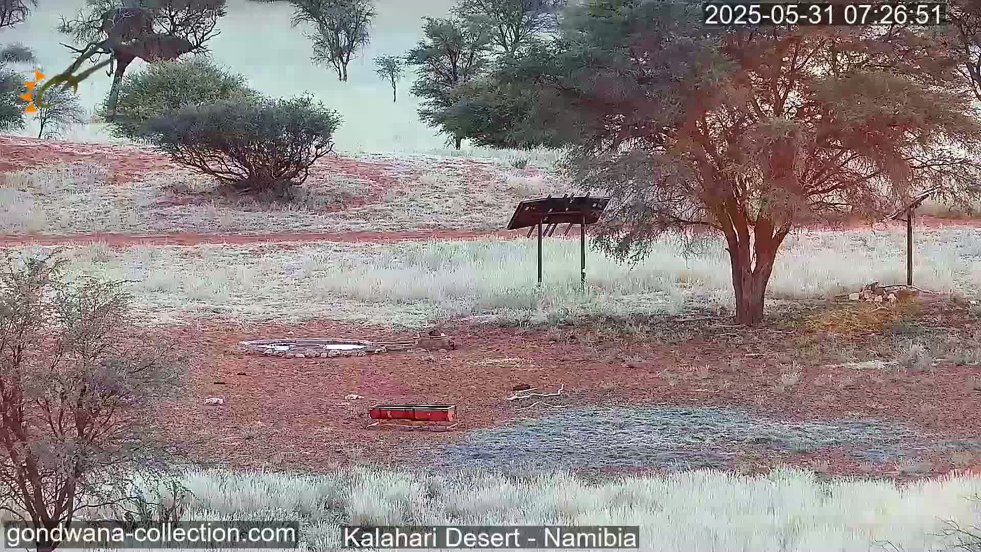 A frost-covered arid landscape with scattered trees, a water trough, and a small structure under a large tree.