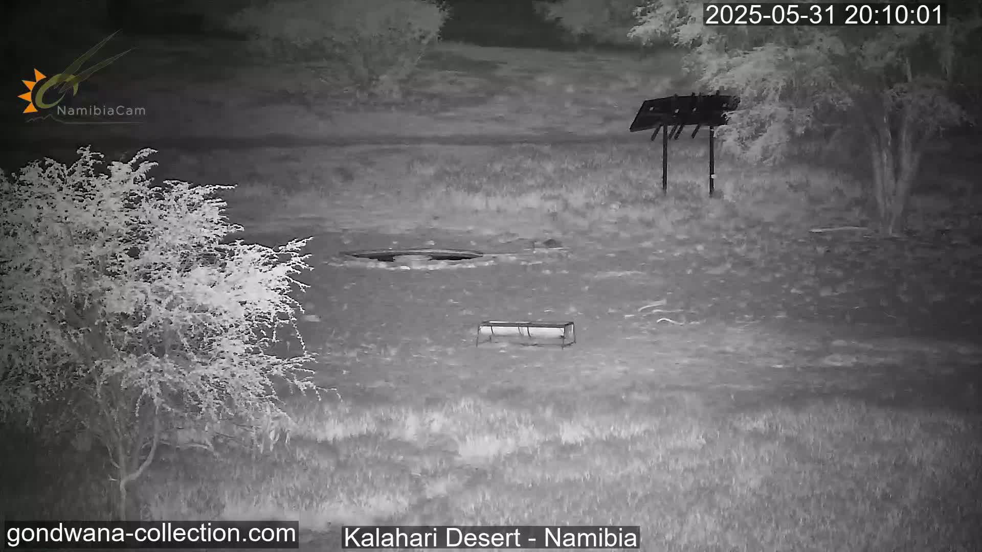 A nighttime infrared image shows a sparsely vegetated area with a water source, a trough, and some sparse trees under a dark sky.