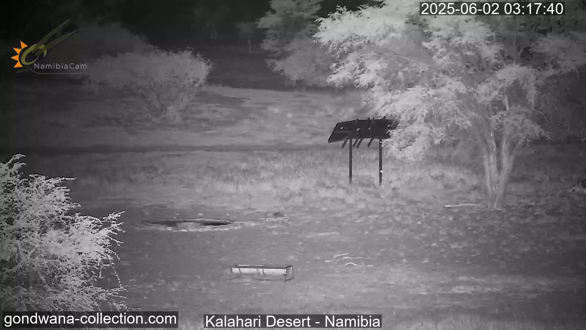 Natural Life in the Kalahari Desert (Gondwana Kalahari Park)  Live Cam - Mariental, Hardap, Namibia
