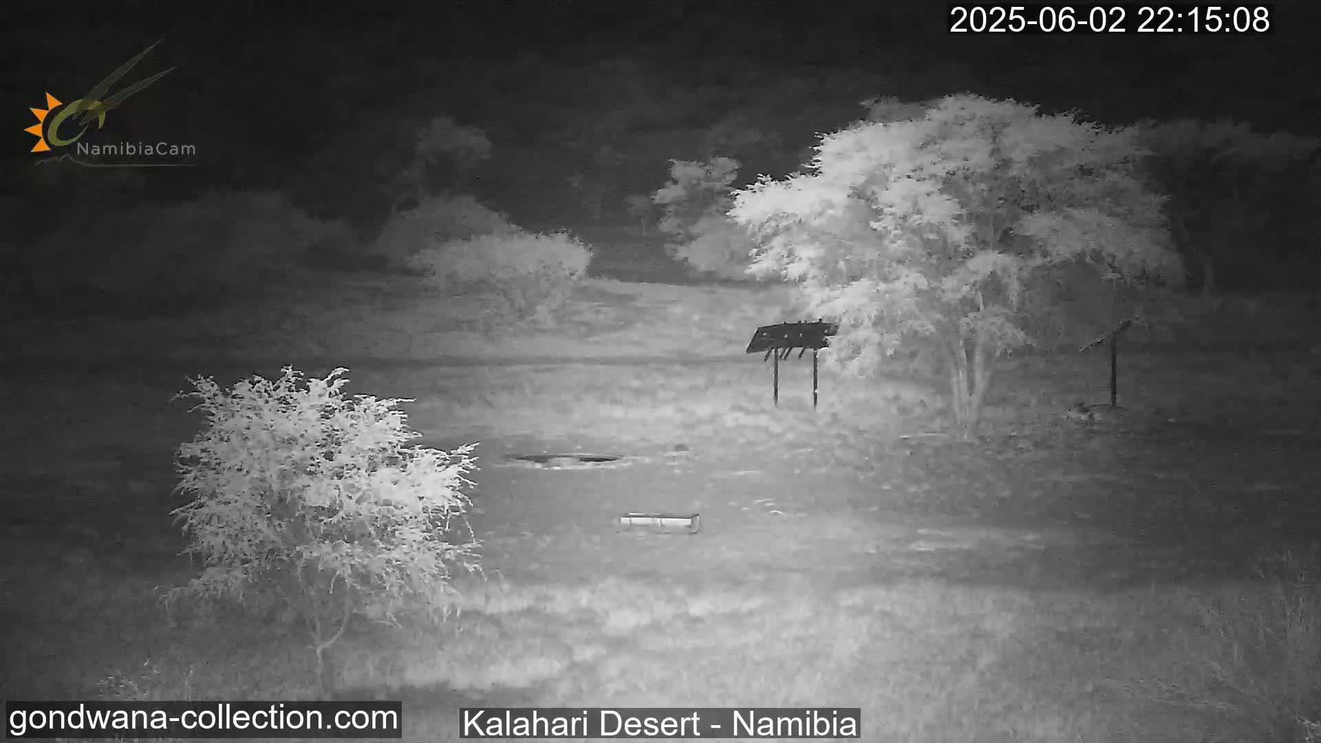 A nighttime infrared view shows sparse, low-lying vegetation and a few trees in a desert landscape.