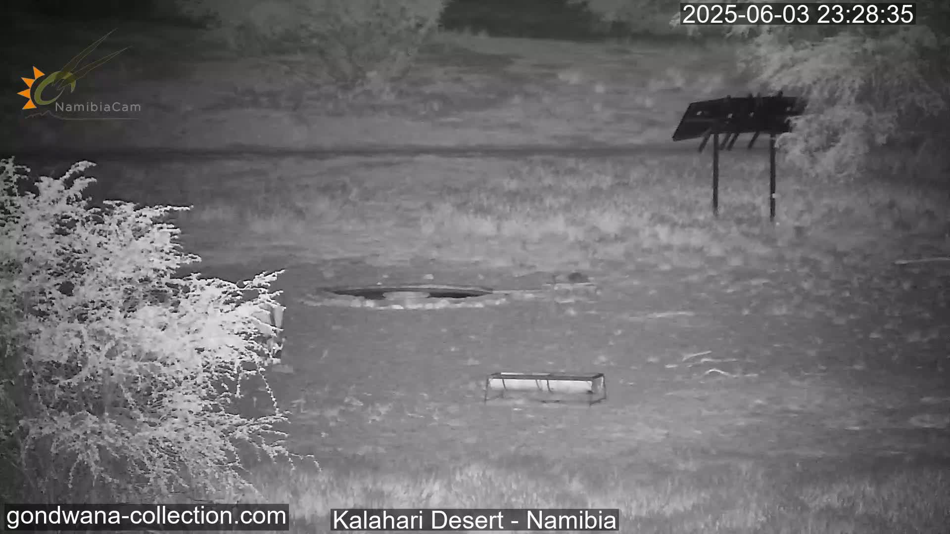 A nighttime, infrared image shows a sparsely vegetated landscape with a waterhole, a trough, and a solar panel structure.