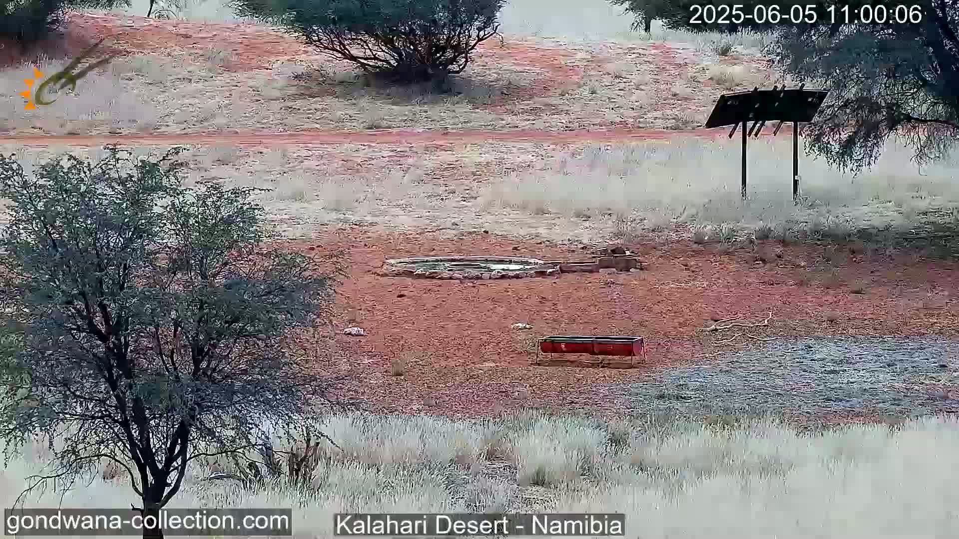 A small watering hole surrounded by sparse desert vegetation and a red dirt path under a hazy sky.