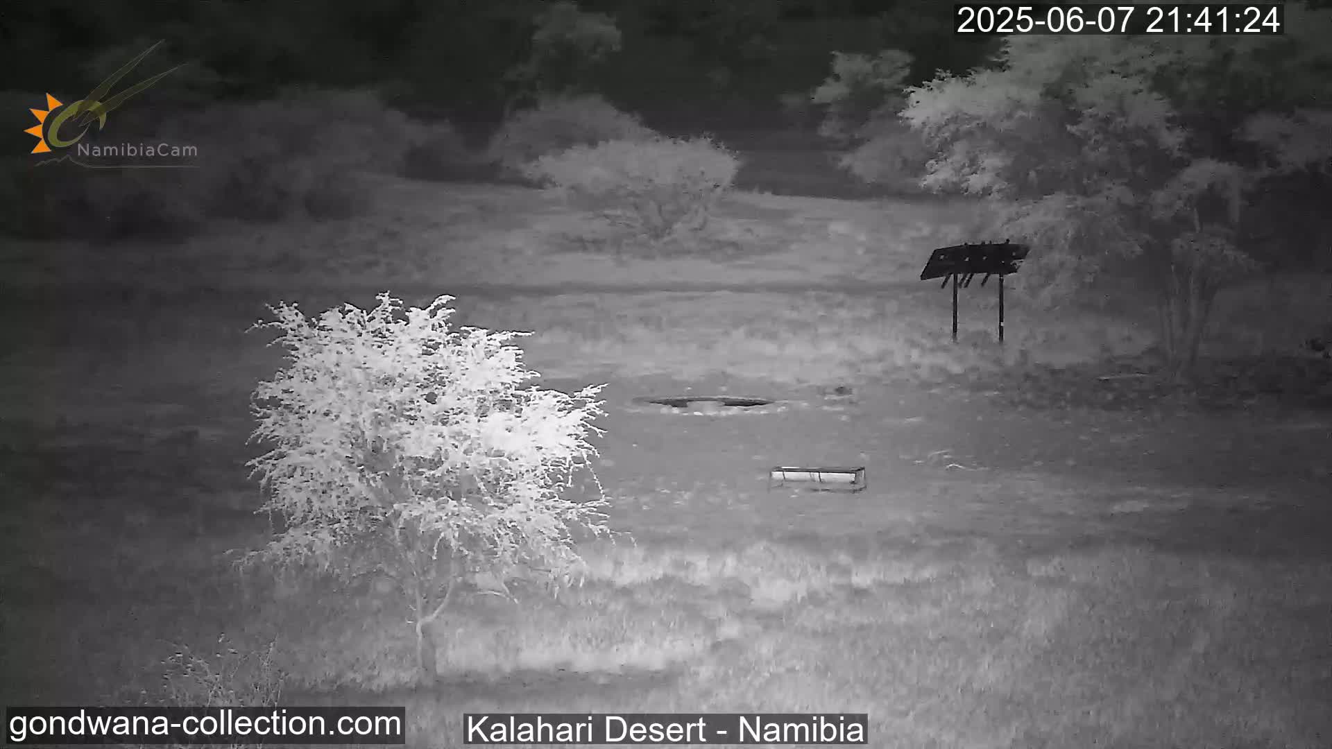 A nighttime infrared image shows a sparsely vegetated landscape with a small tree, a bird feeder, and a water trough.