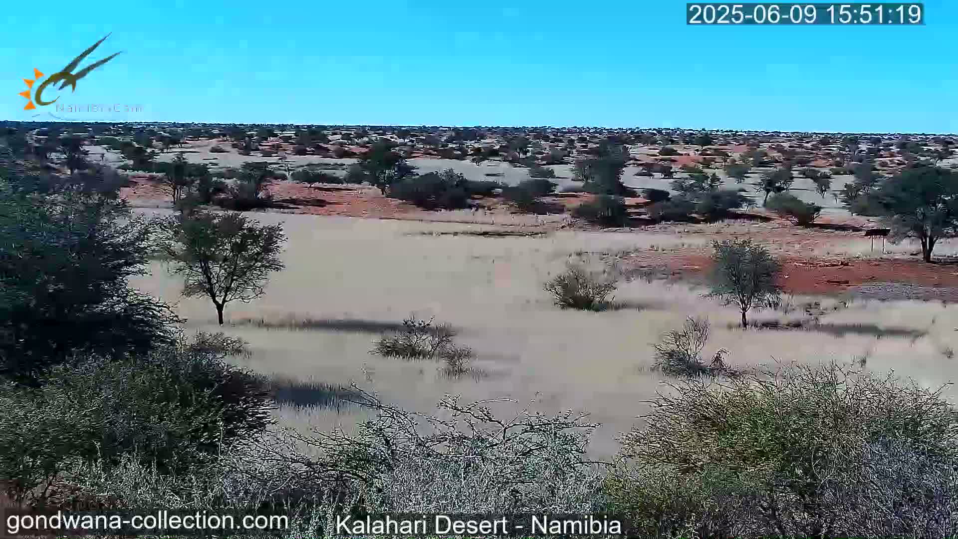 A wide, expansive view of a desert landscape under a clear blue sky shows sparse, low-lying vegetation and scattered trees.