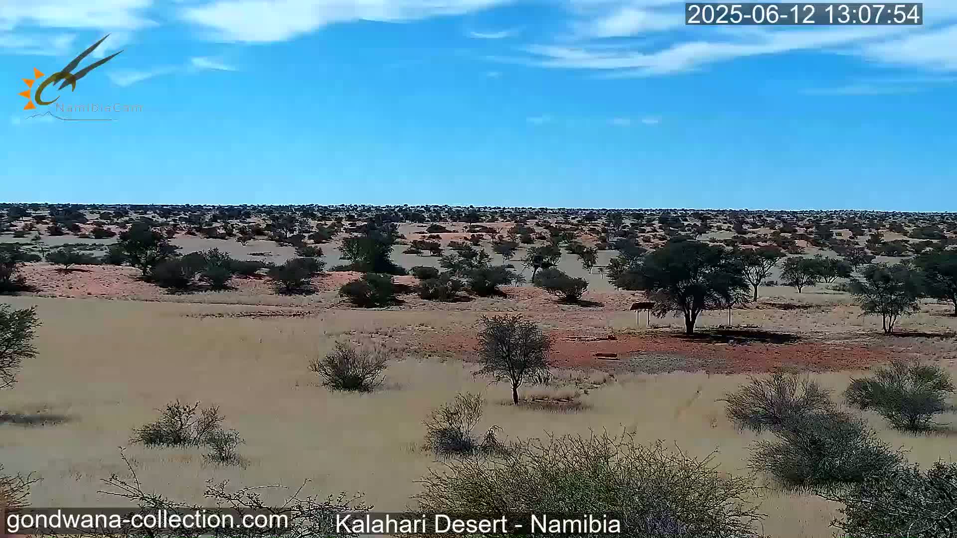 A vast, dry landscape under a mostly clear blue sky shows sparse, low-lying vegetation and a few scattered trees.