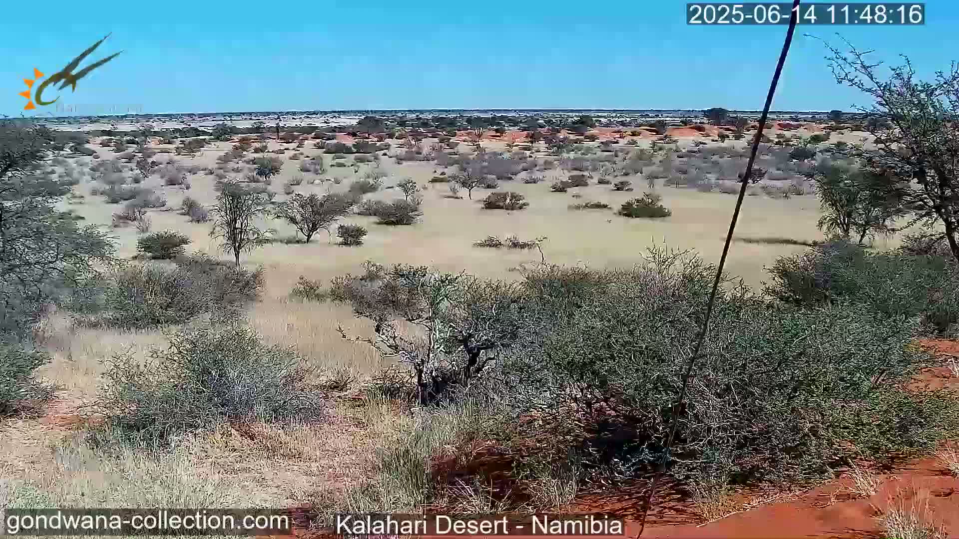 A sparse, scrubby desert landscape under a clear blue sky stretches to a distant horizon.