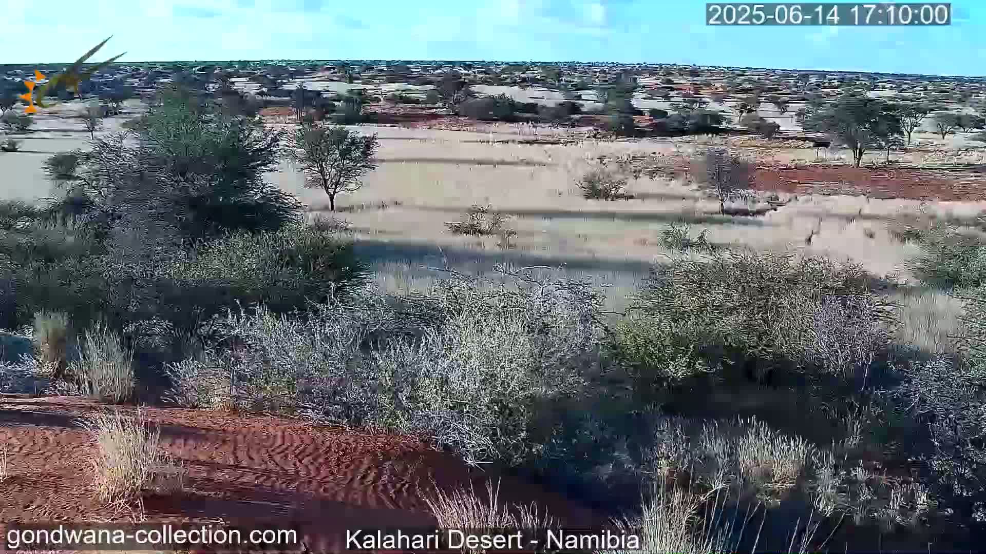 A mostly sunny, arid landscape of sparse, scrubby vegetation and reddish sand stretches to the horizon under a clear sky.