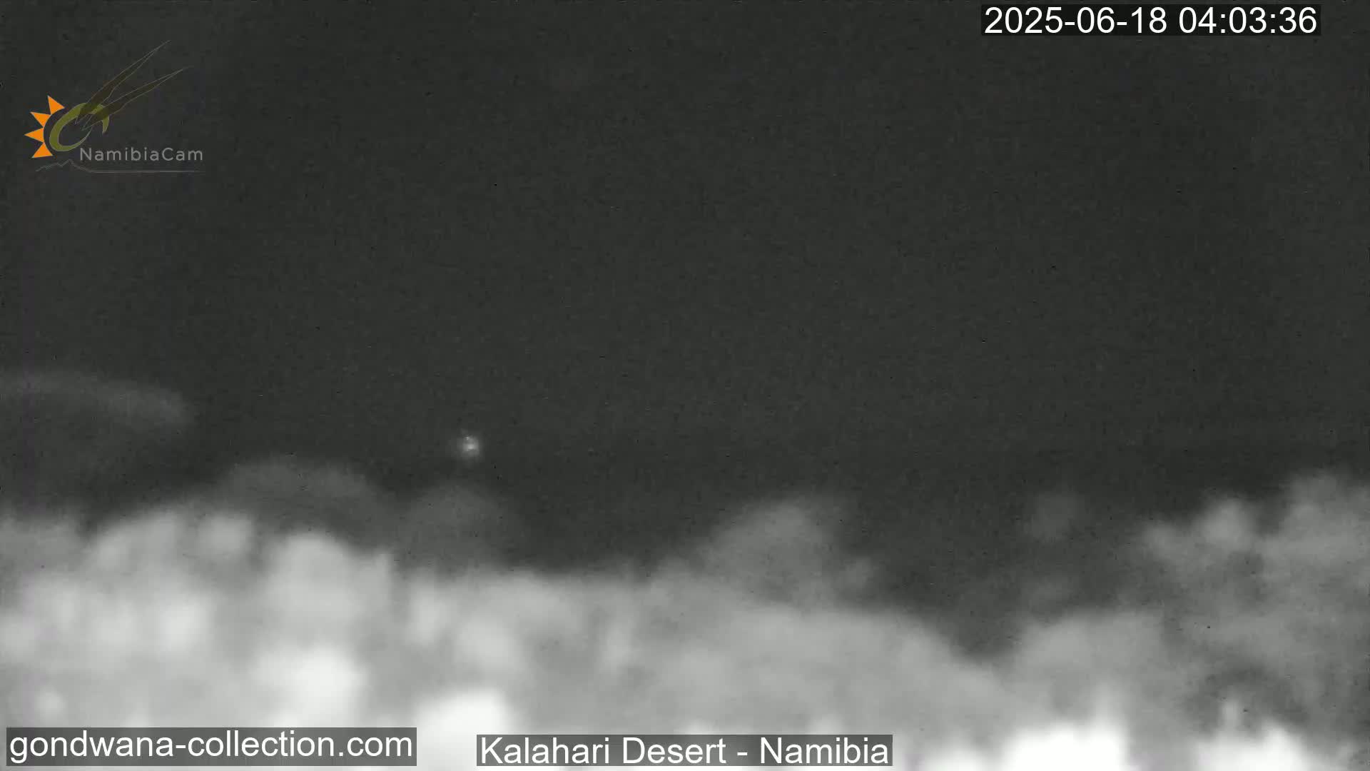 Natural Life in the Kalahari Desert (Gondwana Kalahari Park)  Live Cam - Mariental, Hardap, Namibia