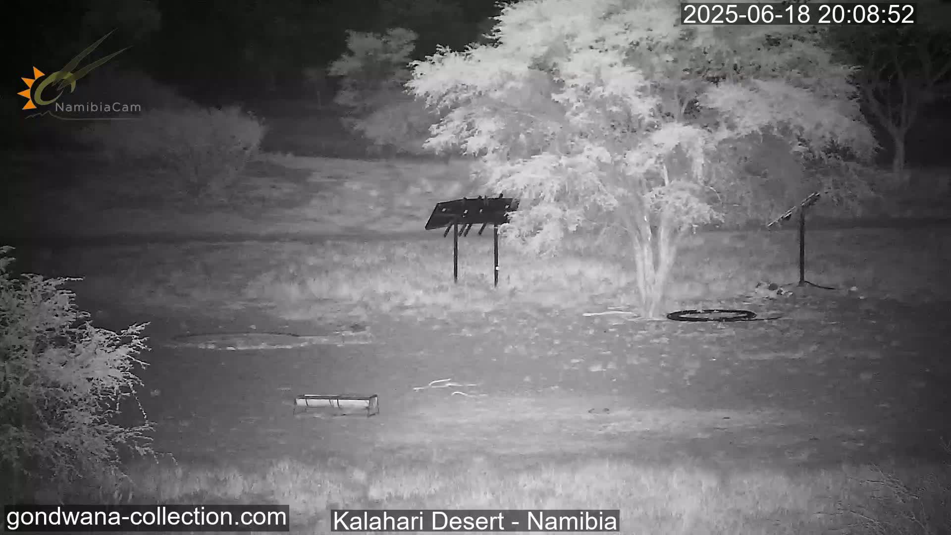 A nighttime infrared image shows a sparsely vegetated area with a tree, a small trough, and two metal structures, one resembling a bird feeder.