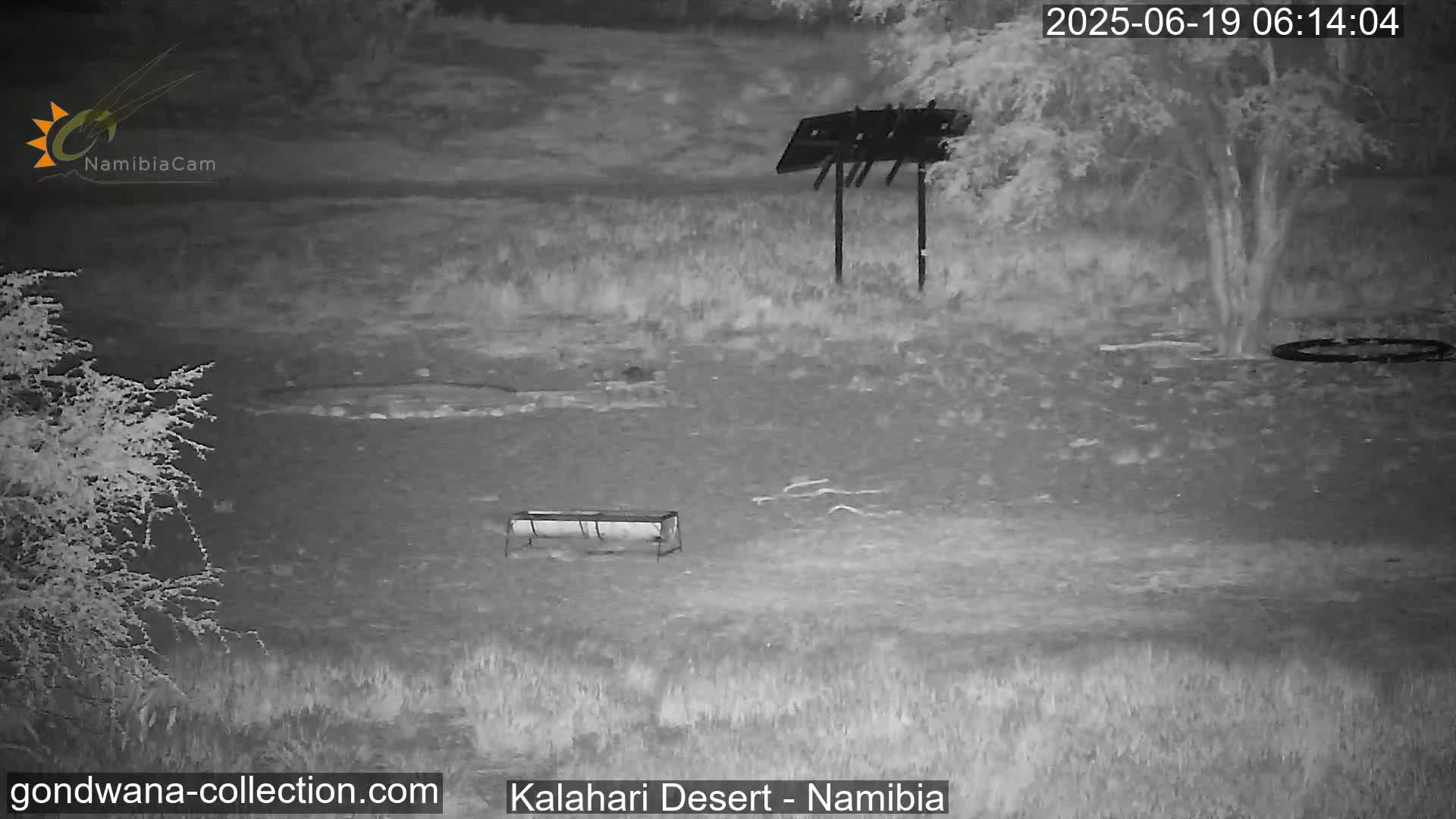 Natural Life in the Kalahari Desert (Gondwana Kalahari Park)  Live Cam - Mariental, Hardap, Namibia