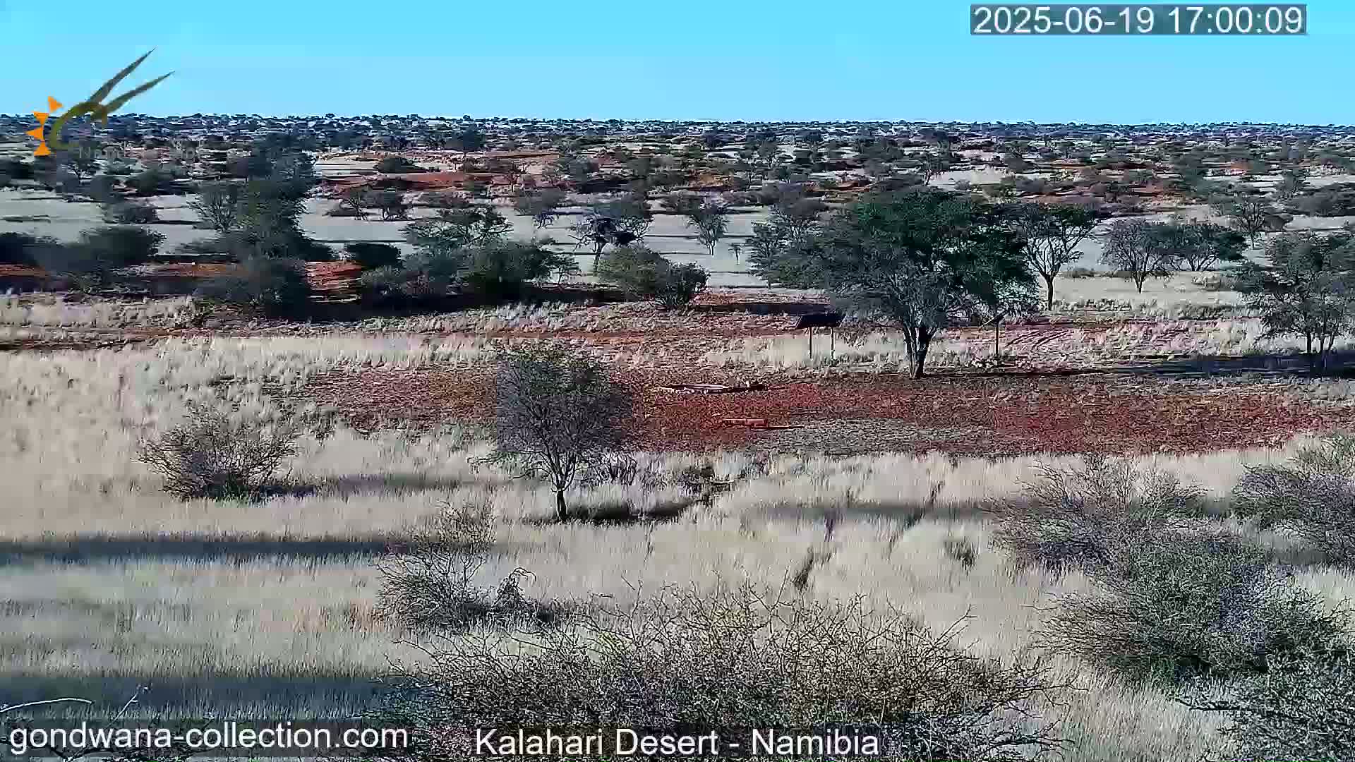 A vast, dry landscape under a clear blue sky features scattered shrubs and trees, with reddish-brown earth visible in patches.
