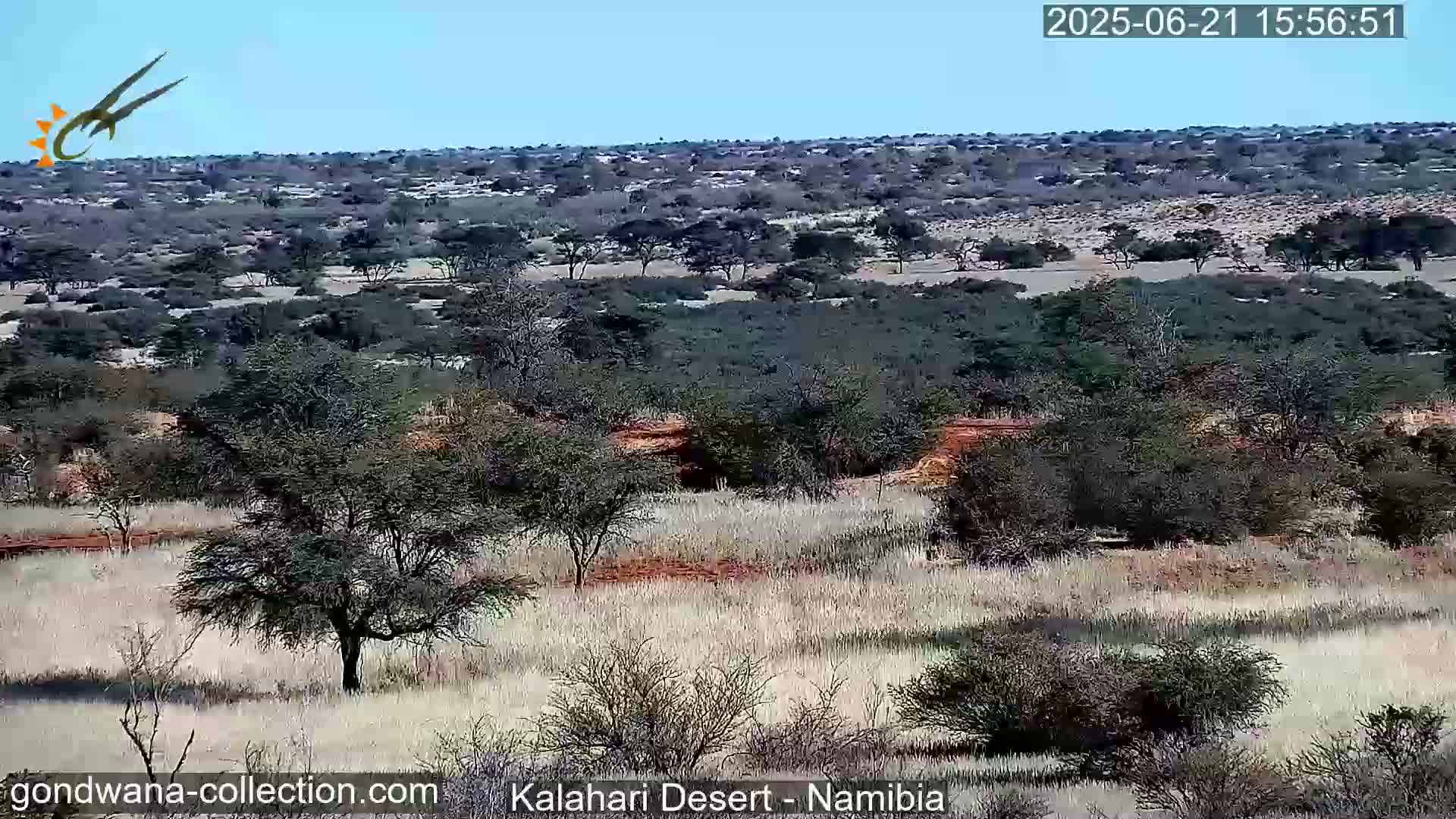A wide, expansive view of a dry, scrubland landscape under a clear blue sky shows sparse, low-lying vegetation and scattered trees.