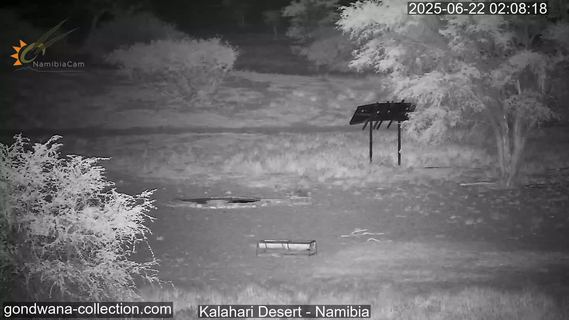 Natural Life in the Kalahari Desert (Gondwana Kalahari Park)  Live Cam - Mariental, Hardap, Namibia