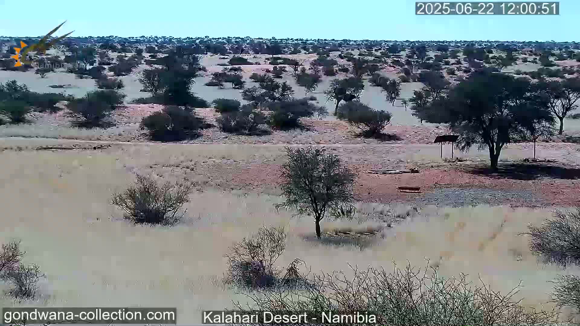 A dry, sparsely vegetated landscape with scattered shrubs and trees under a clear sky stretches out across a flat plain.