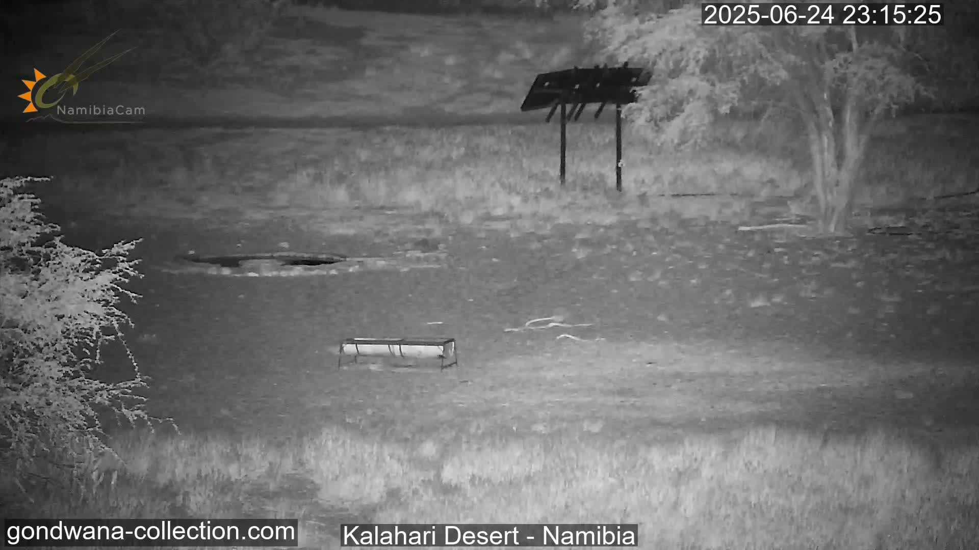 Natural Life in the Kalahari Desert (Gondwana Kalahari Park)  Live Cam - Mariental, Hardap, Namibia