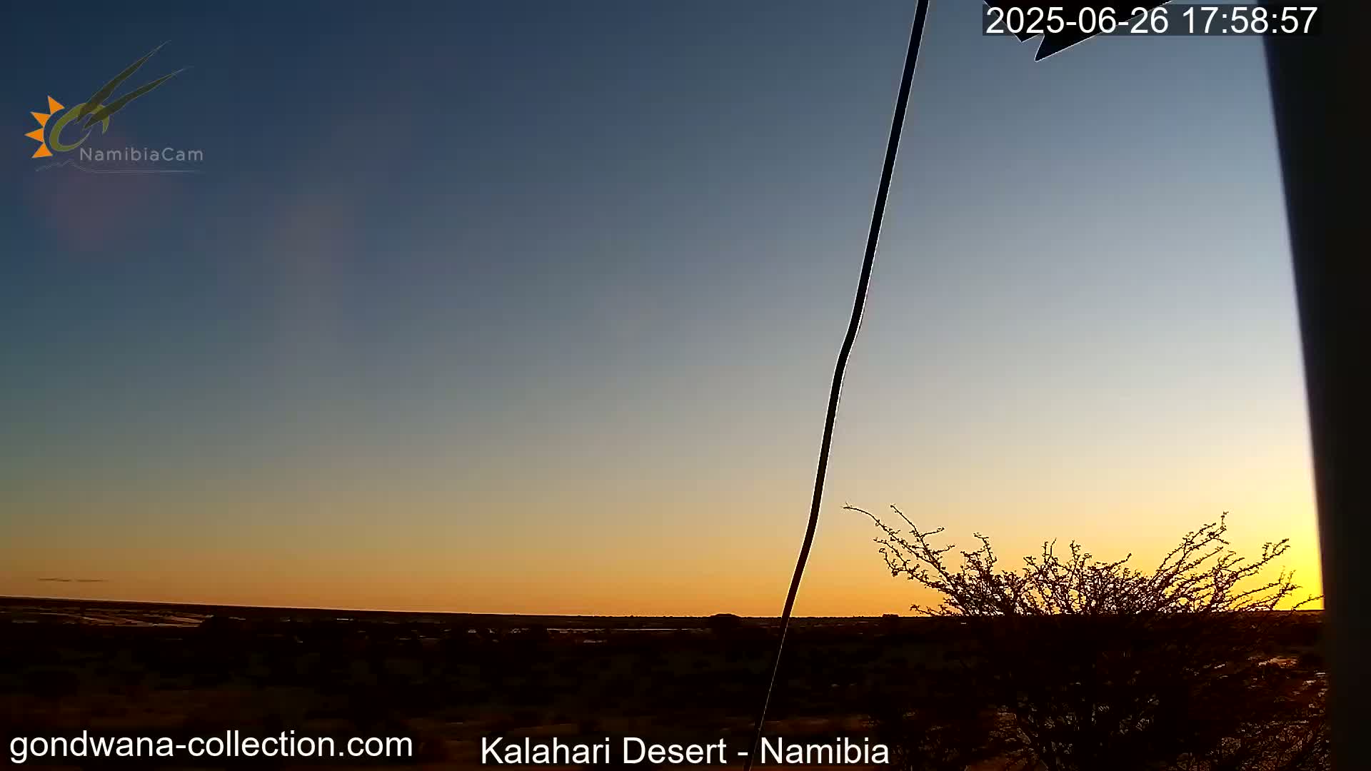 Natural Life in the Kalahari Desert (Gondwana Kalahari Park)  Live Cam - Mariental, Hardap, Namibia