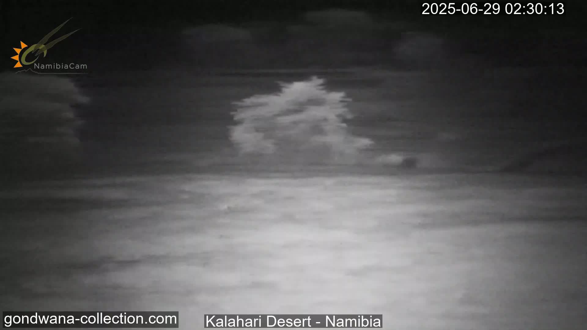 Natural Life in the Kalahari Desert (Gondwana Kalahari Park)  Live Cam - Mariental, Hardap, Namibia