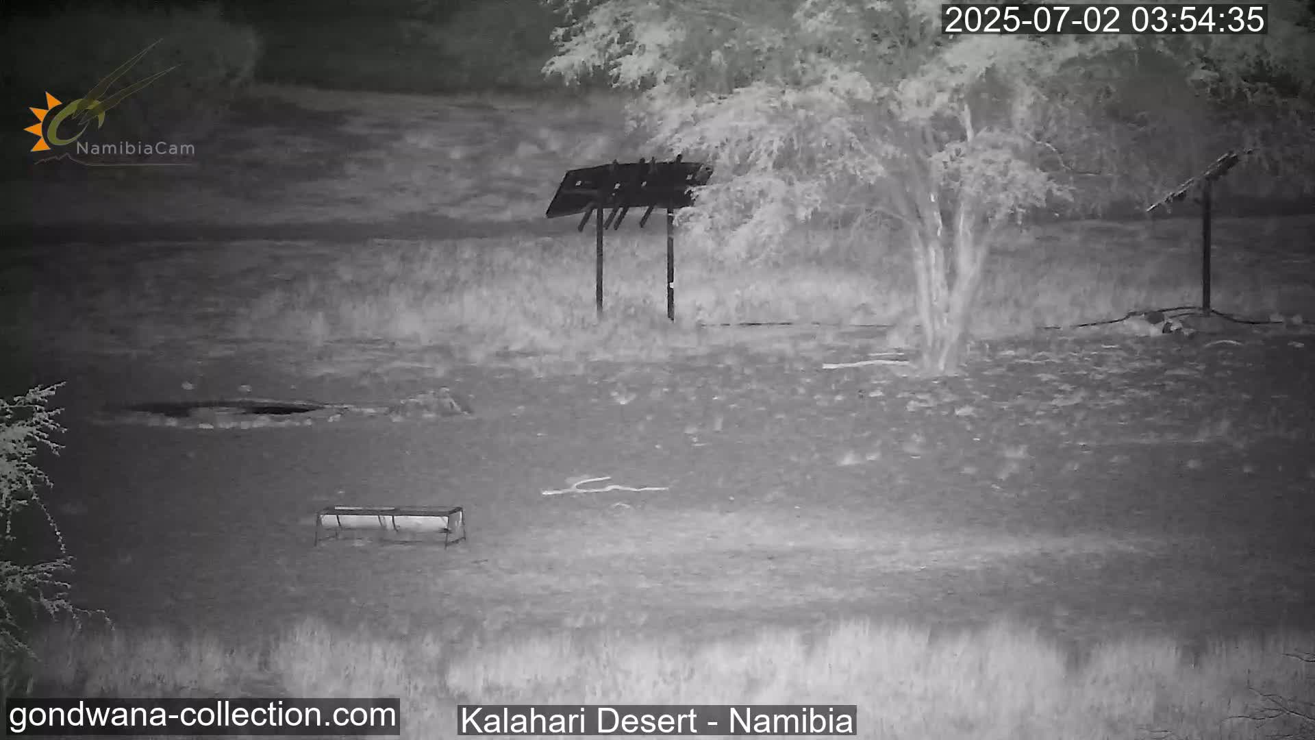 Natural Life in the Kalahari Desert (Gondwana Kalahari Park)  Live Cam - Mariental, Hardap, Namibia