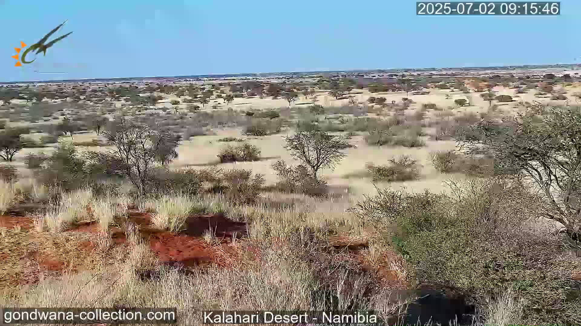 A wide, expansive view of a dry, sparsely vegetated landscape under a clear blue sky shows reddish-brown earth and scattered shrubs and small trees.