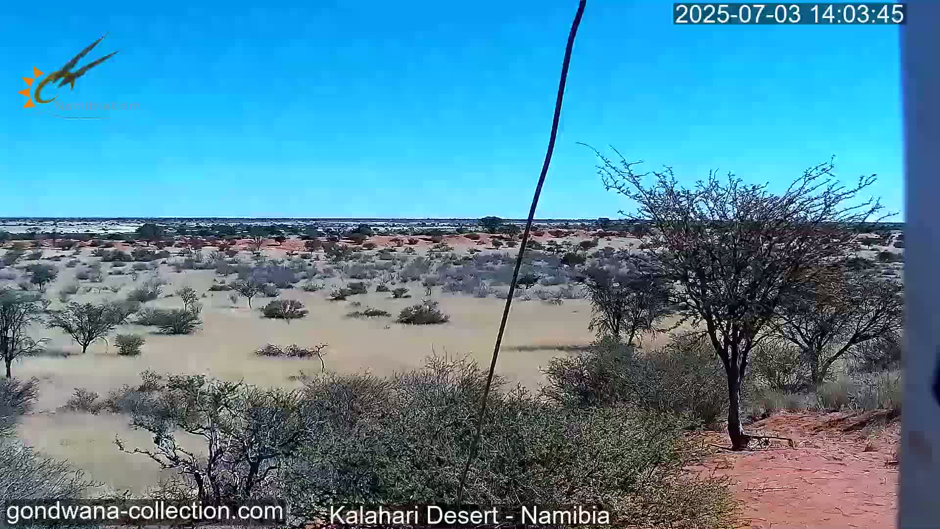 Natural Life in the Kalahari Desert (Gondwana Kalahari Park)  Live Cam - Mariental, Hardap, Namibia