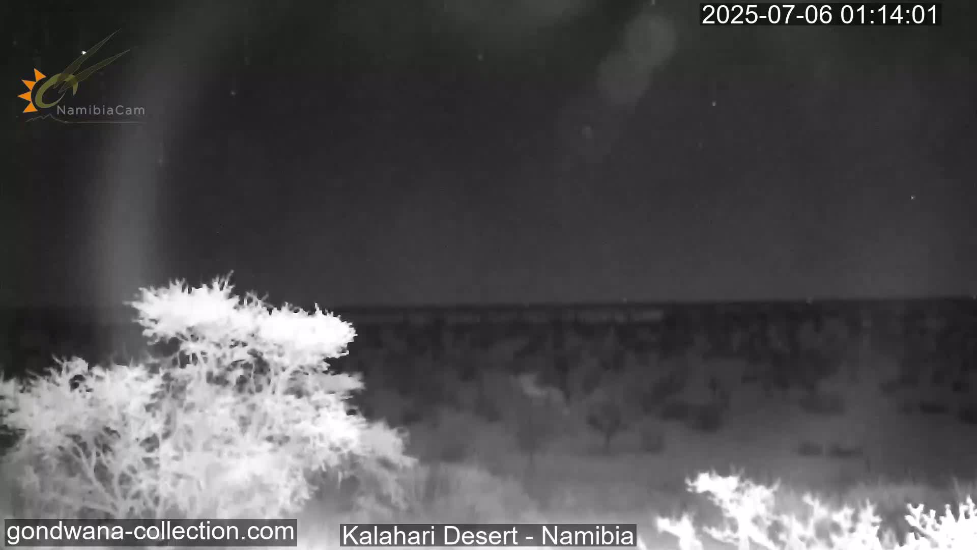 Natural Life in the Kalahari Desert (Gondwana Kalahari Park)  Live Cam - Mariental, Hardap, Namibia
