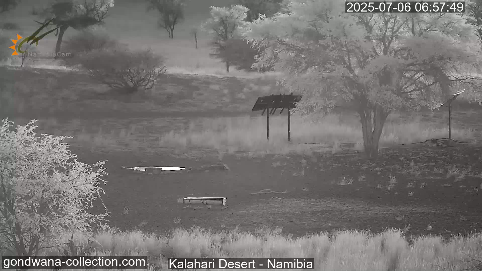 Natural Life in the Kalahari Desert (Gondwana Kalahari Park)  Live Cam - Mariental, Hardap, Namibia